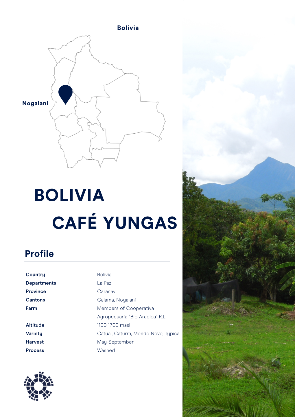 Bolivia Café Yungas