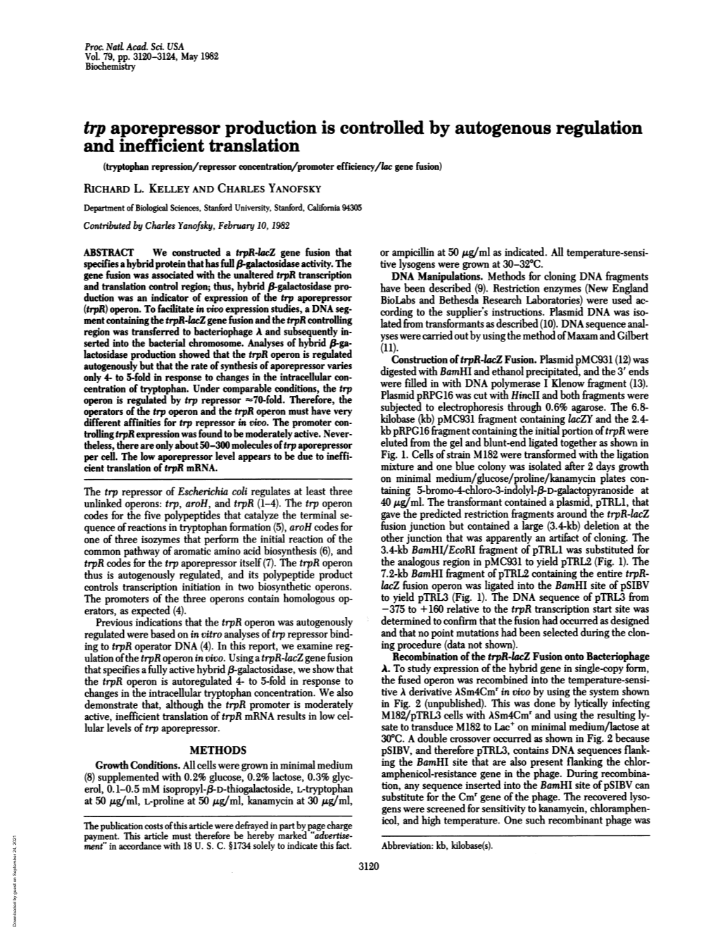 Trp Aporepressor Production Is Controlled by Autogenous
