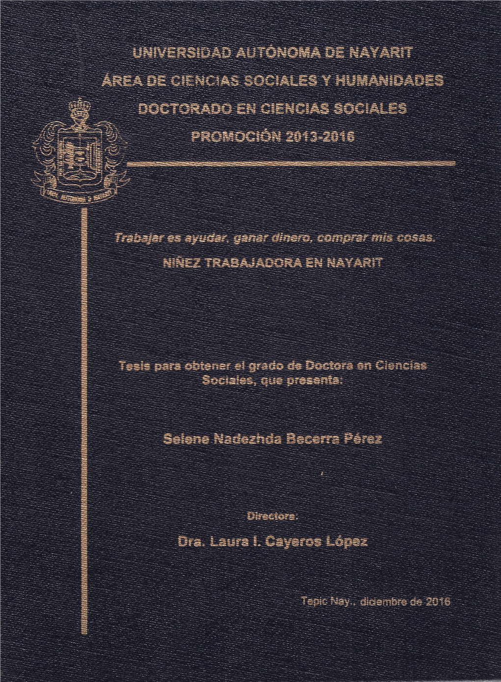 Universidad Autónoma De Nayarit Área De Ciencias Sociales Y Humanidades Doctorado En Ciencias Sociales Promoción 2013-2016