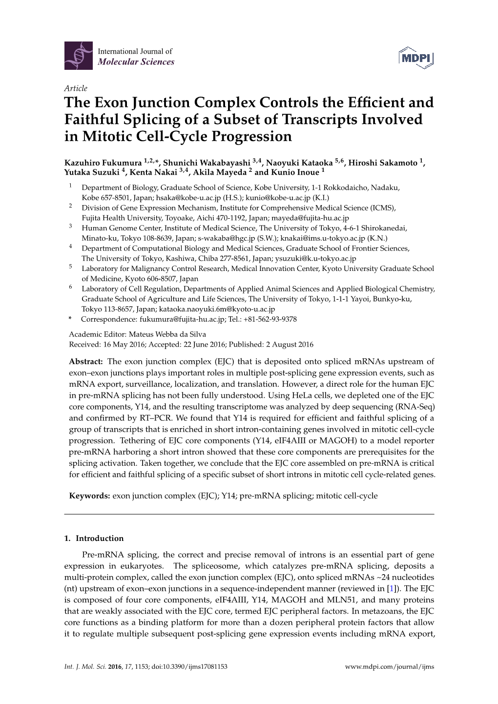 The Exon Junction Complex Controls the Efficient and Faithful Splicing Of