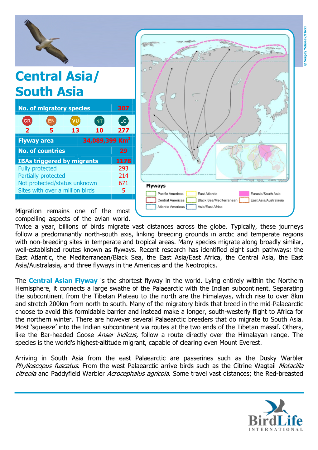 Central Asia/ South Asia