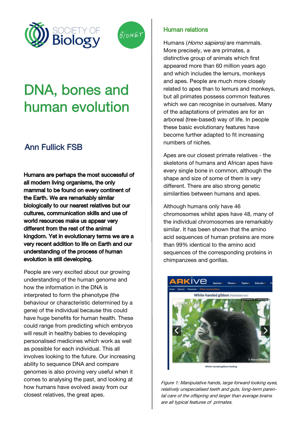 DNA, Bones and Human Evolution