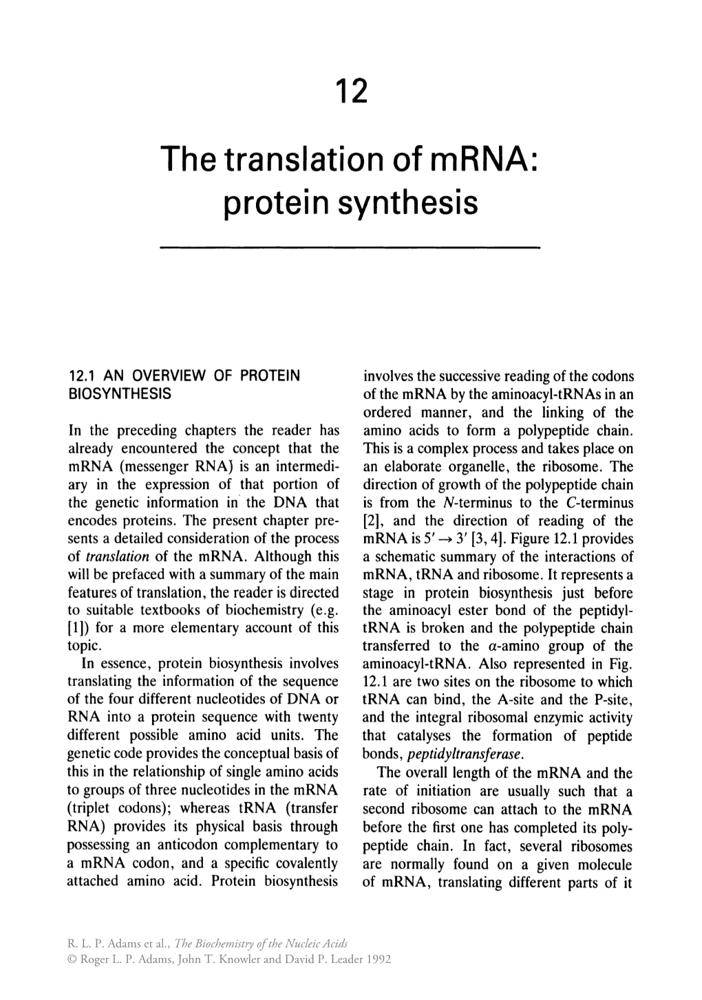 12 the Translation of Mrna: Protein Synthesis