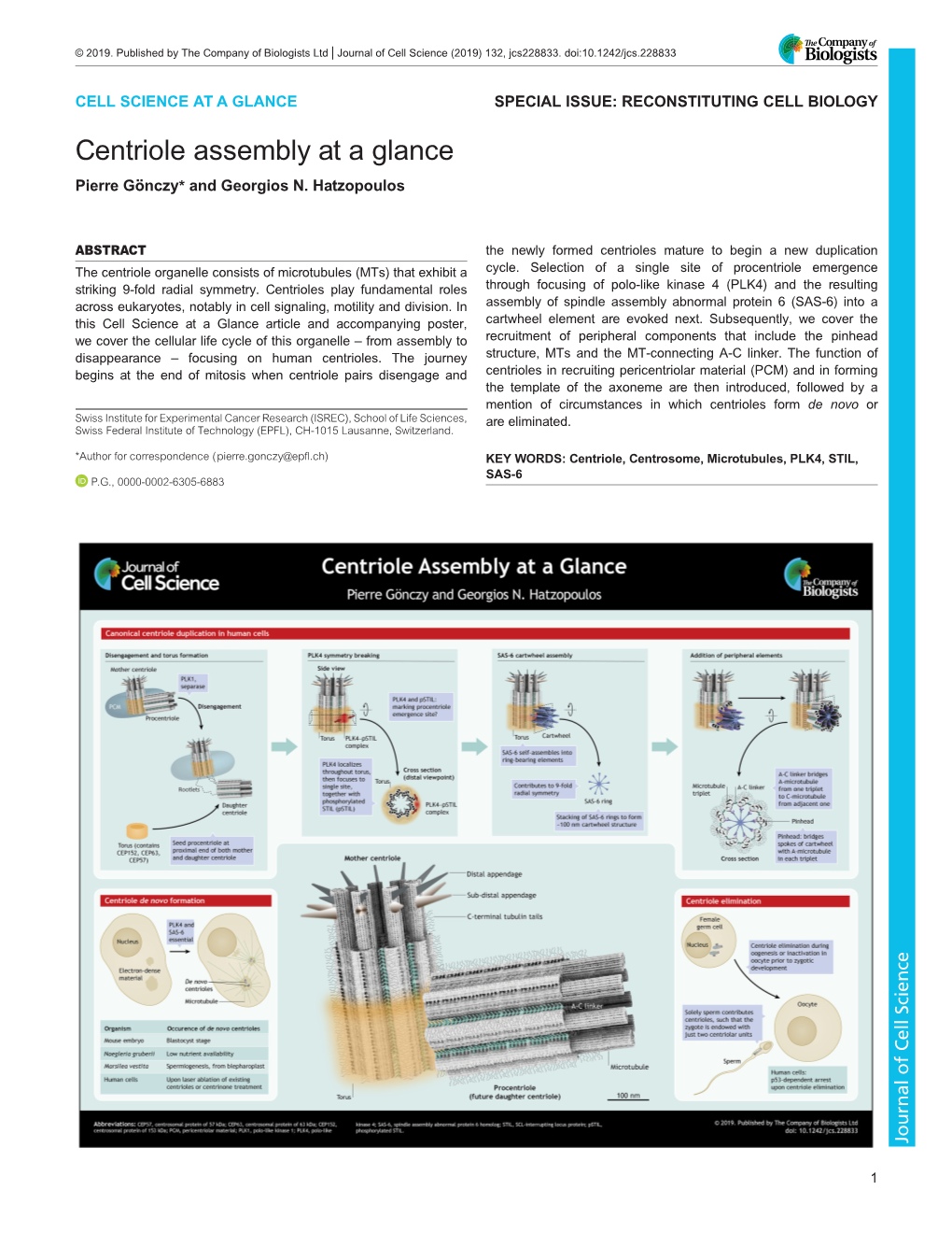 Centriole Assembly at a Glance Pierre Gönczy* and Georgios N