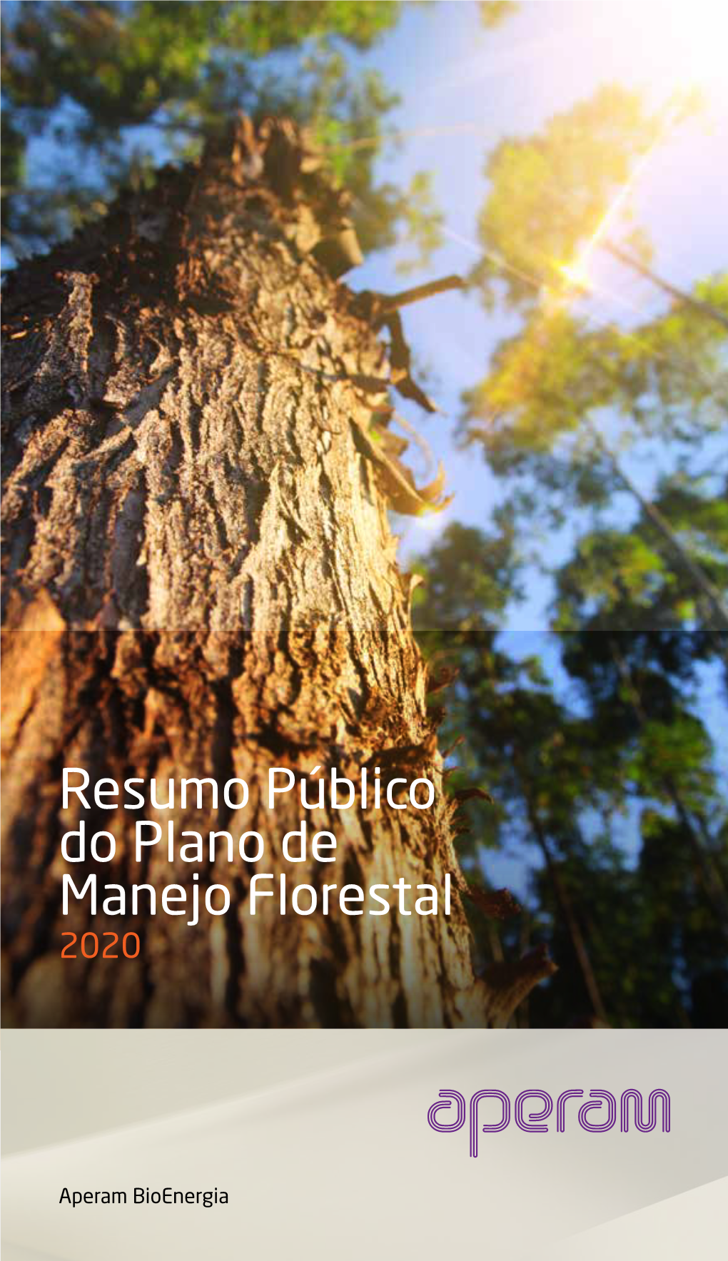 Resumo Público Do Plano De Manejo Florestal 2020