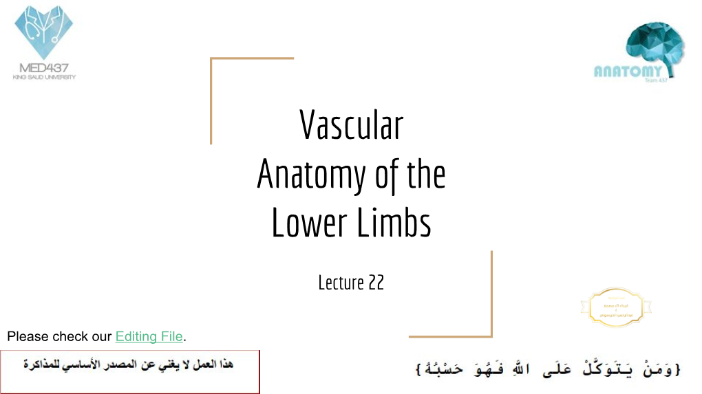 Vascular Anatomy of the Lower Limbs