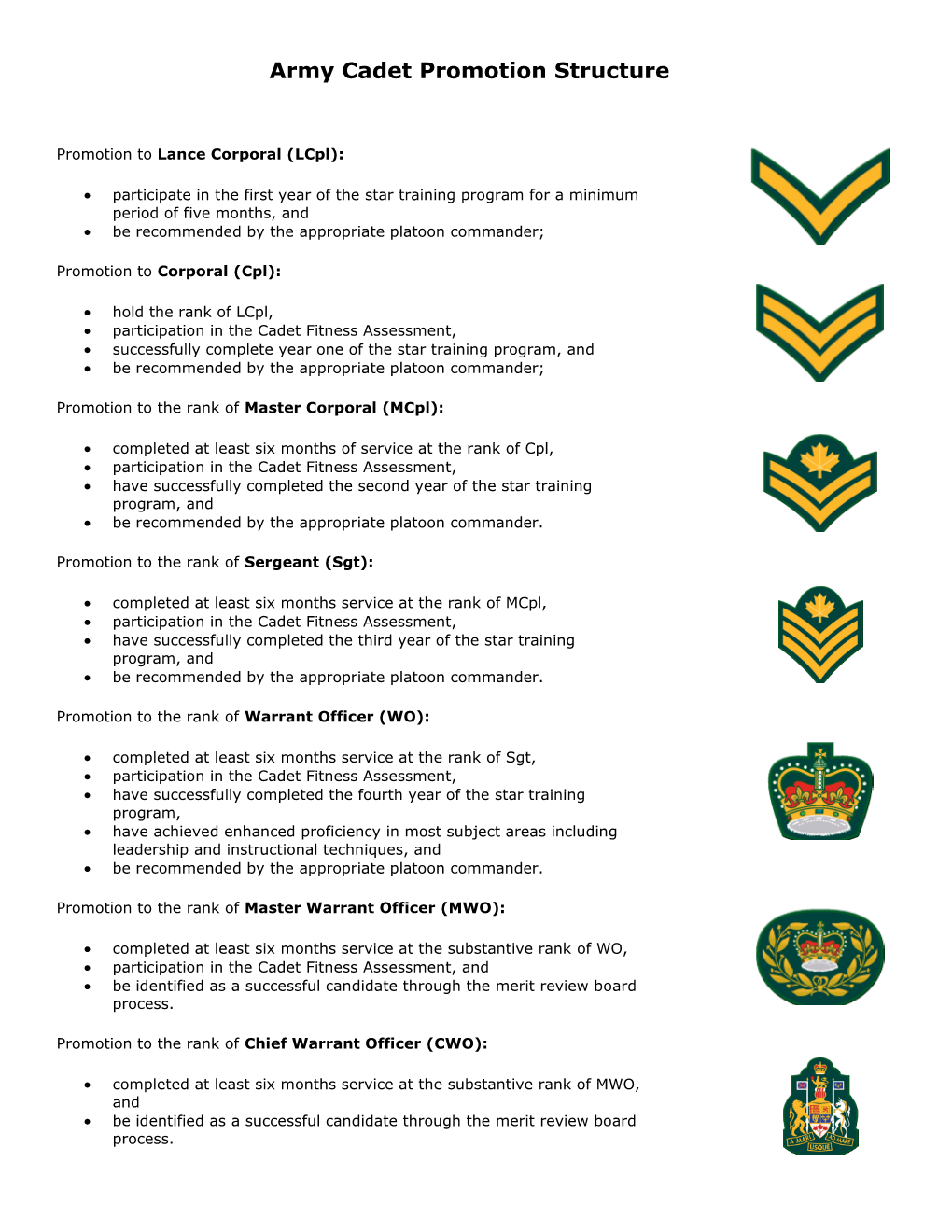 Army Cadet Promotion Structure