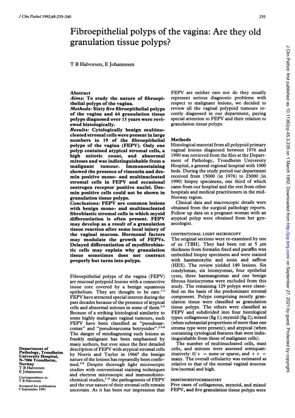 Fibroepithelial Polyps of the Vagina: Are They Old Granulation Tissue