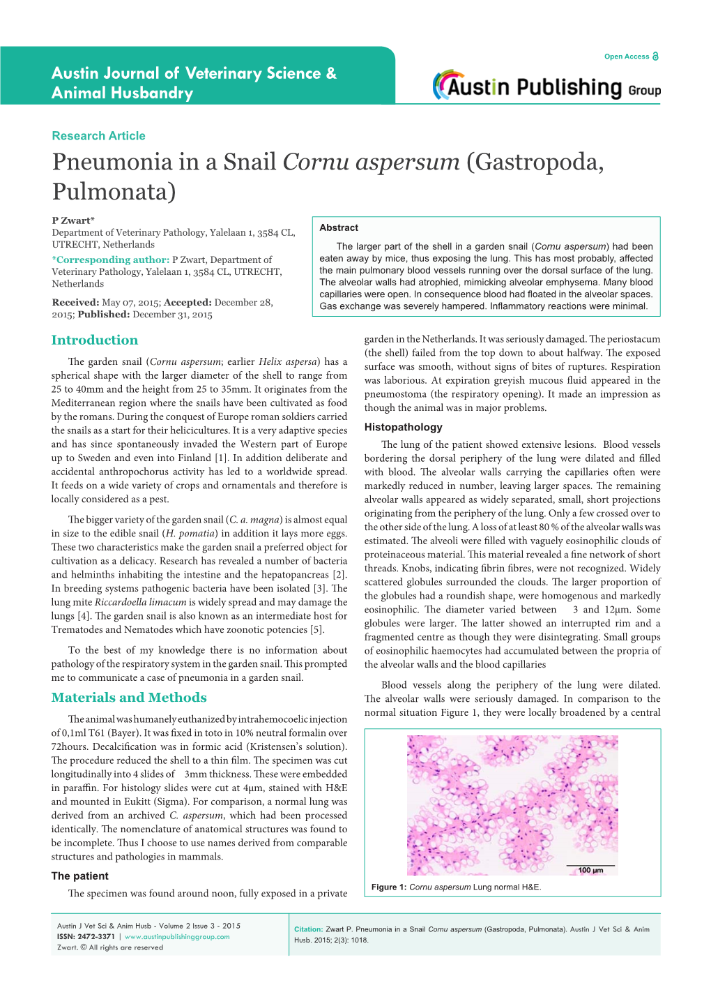 Pneumonia in a Snail Cornu Aspersum (Gastropoda, Pulmonata)