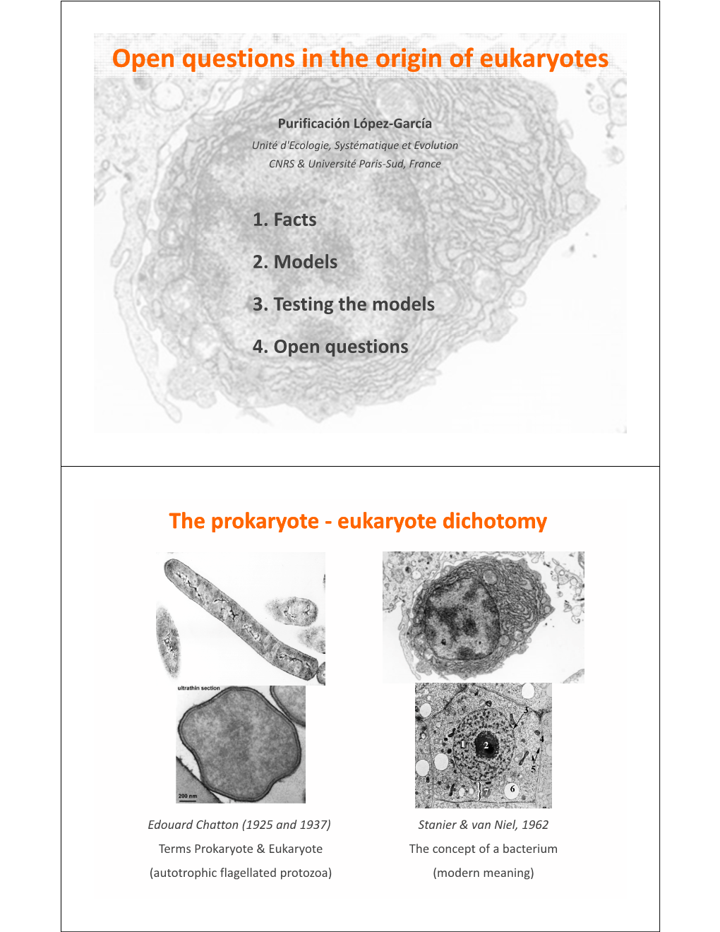 Open Questions in the Origin of Eukaryotes