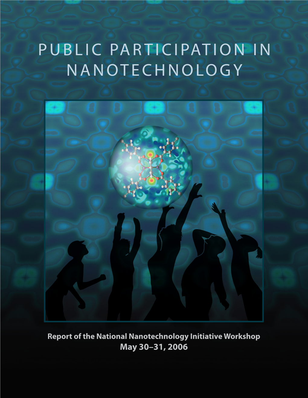 Public Participation in Nanotechnology