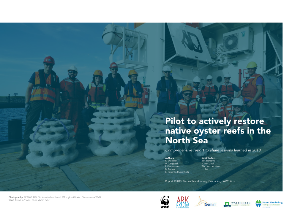 Pilot to Actively Restore Native Oyster Reefs in the North Sea Comprehensive Report to Share Lessons Learned in 2018
