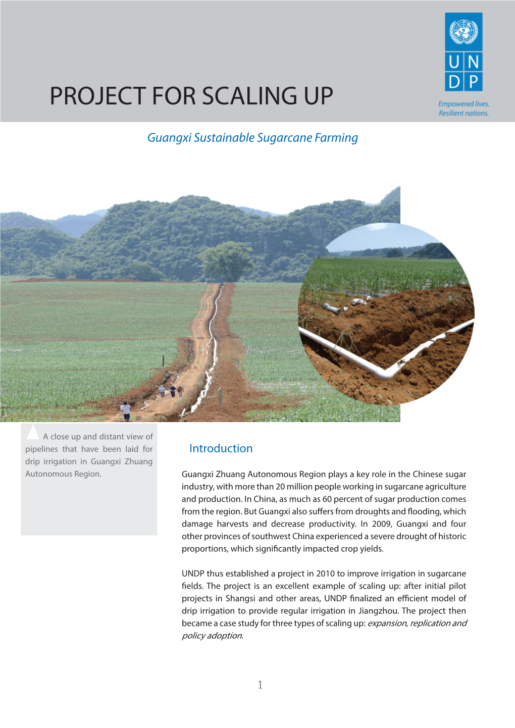 Sustainable Sugarcane Farming in Guangxi Province