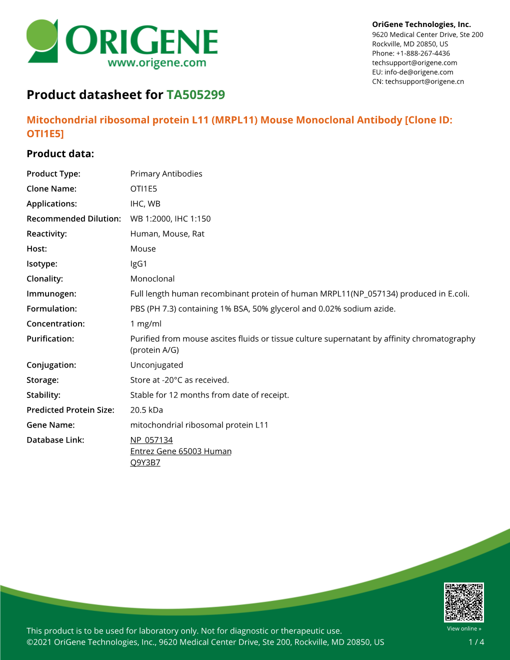 Mitochondrial Ribosomal Protein L11 (MRPL11) Mouse Monoclonal Antibody [Clone ID: OTI1E5] Product Data