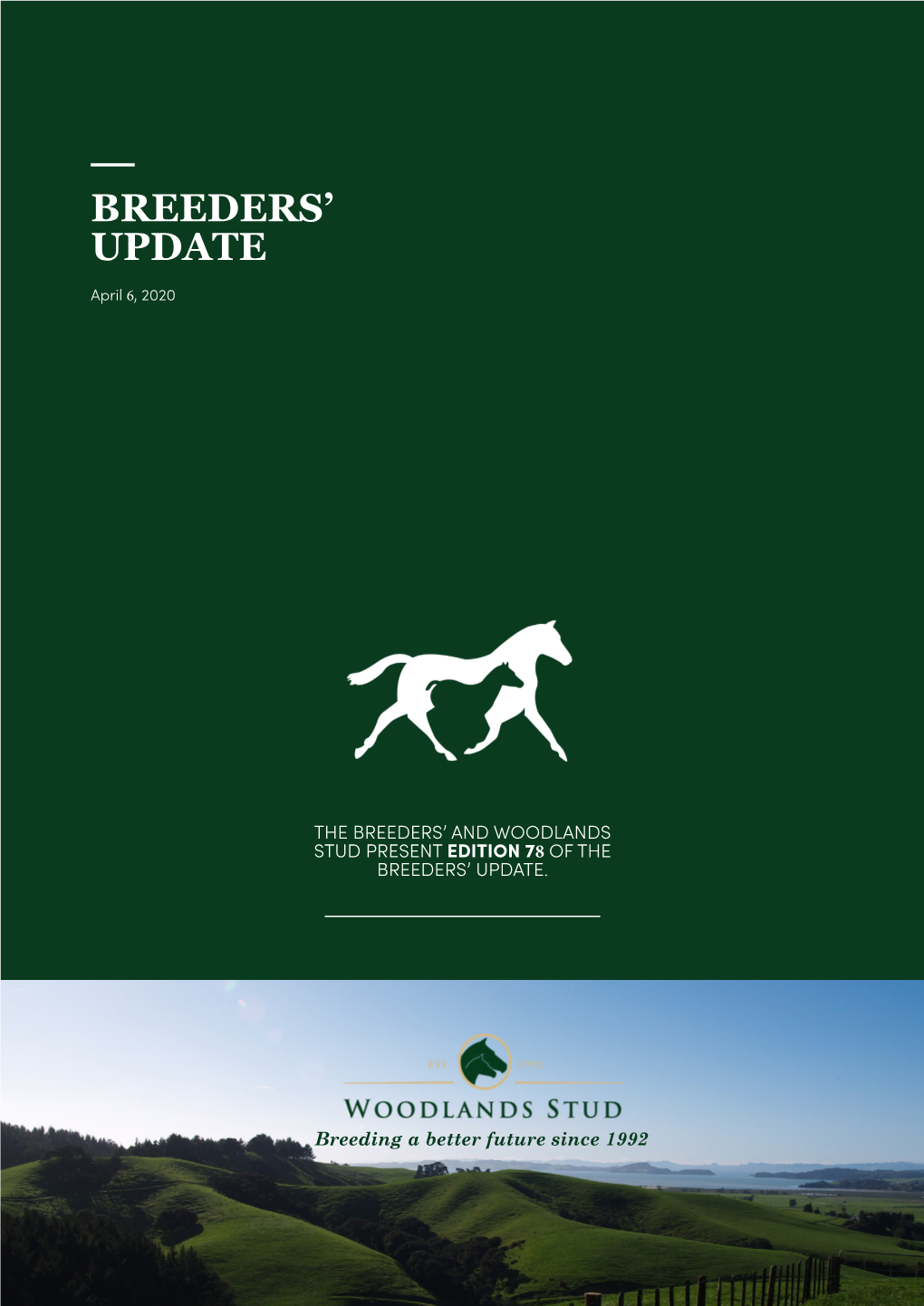 Woodlands Stud Breeders' Update