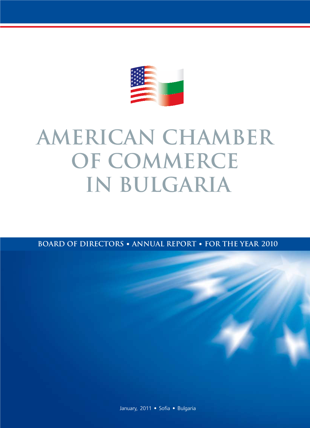 Amcham Annual Report 2010