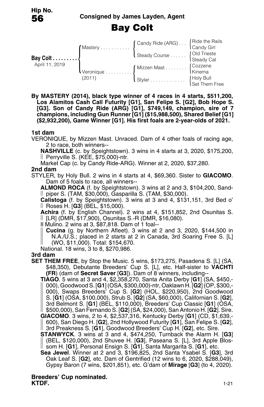 56 Consigned by James Layden, Agent Bay Colt