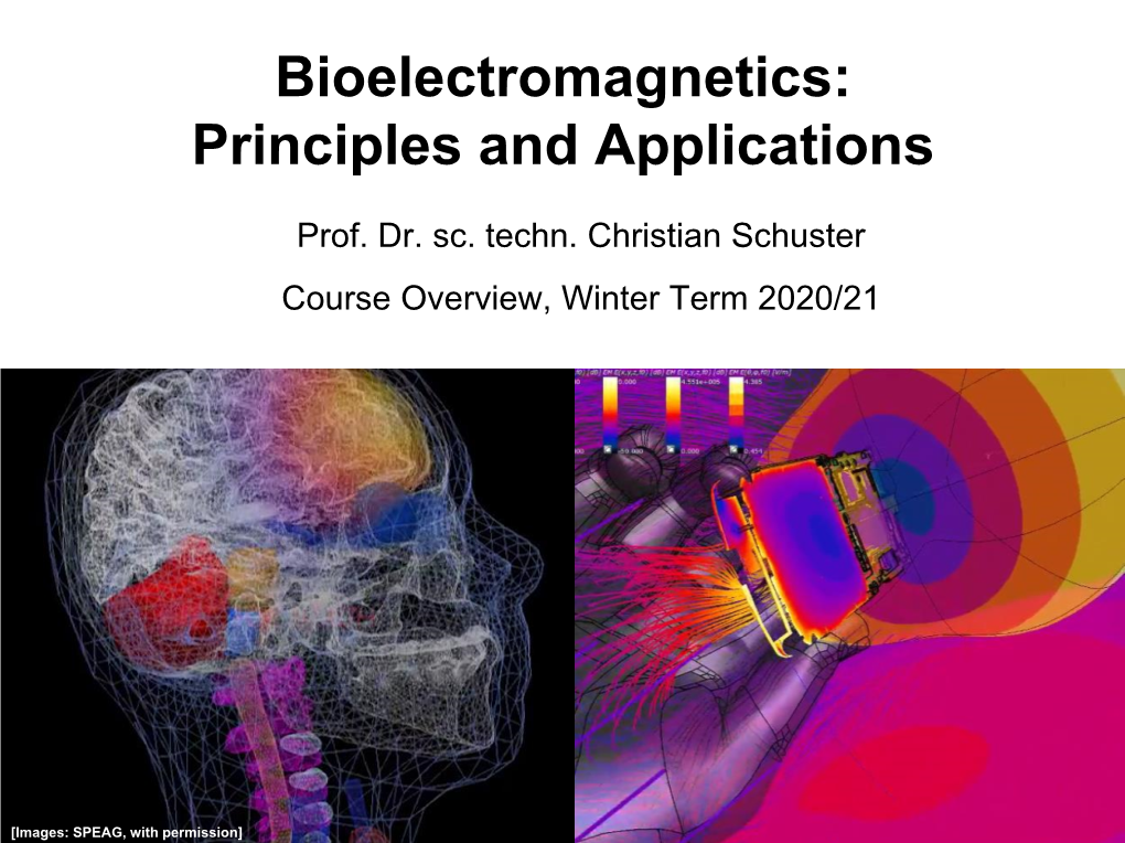 Bioelectromagnetics: Principles and Applications