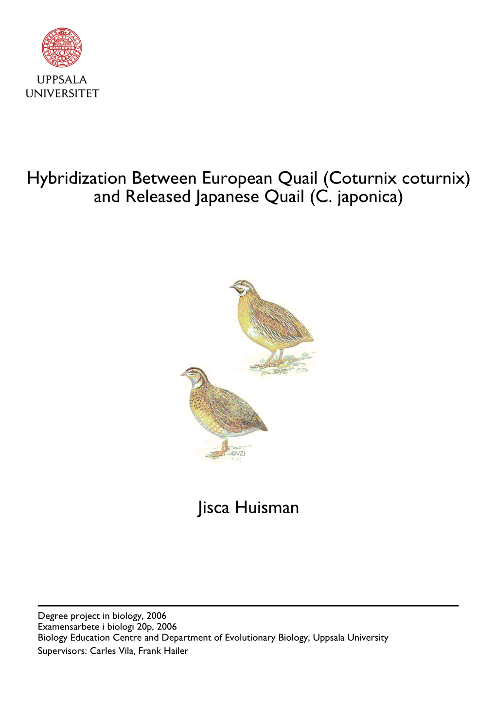 And Released Japanese Quail (C. Japonica) Jisca Huisman