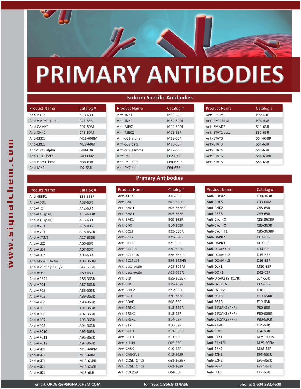 Primary Antibodies