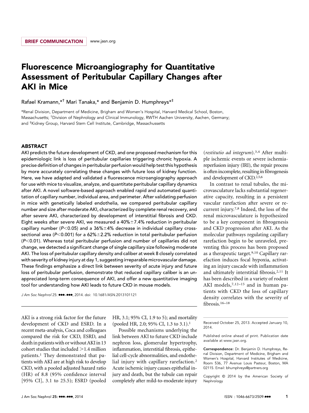 Fluorescence Microangiography for Quantitative Assessment of Peritubular Capillary Changes After AKI in Mice