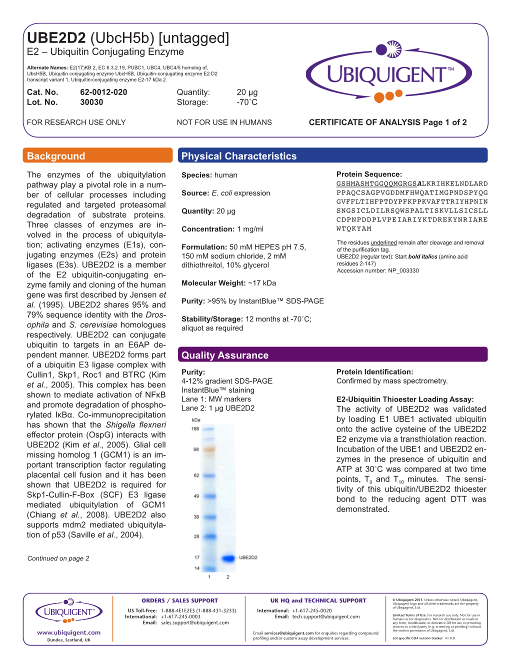 UBE2D2 (Ubch5b) [Untagged] E2 – Ubiquitin Conjugating Enzyme