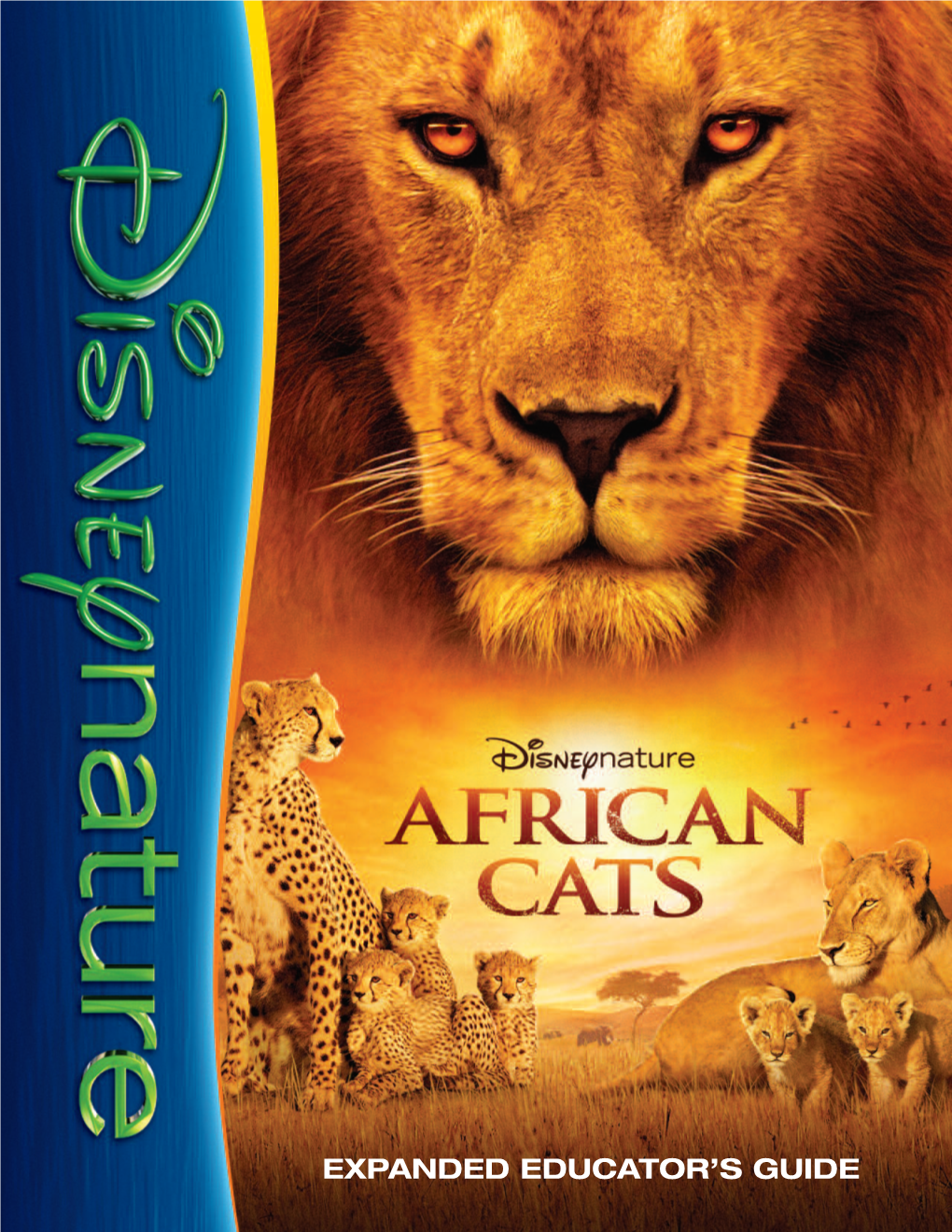 African Cats