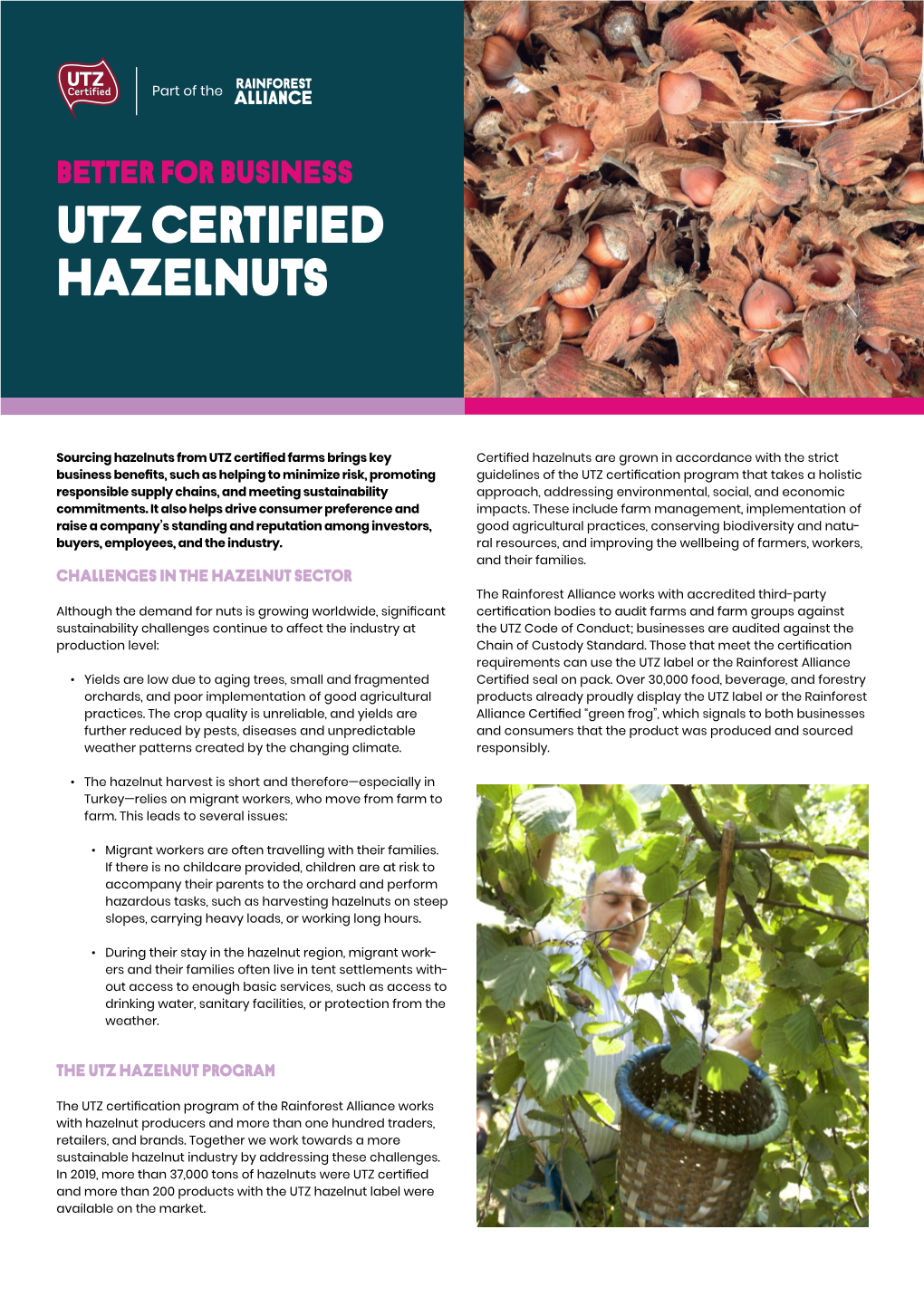 Utz Certified Hazelnuts