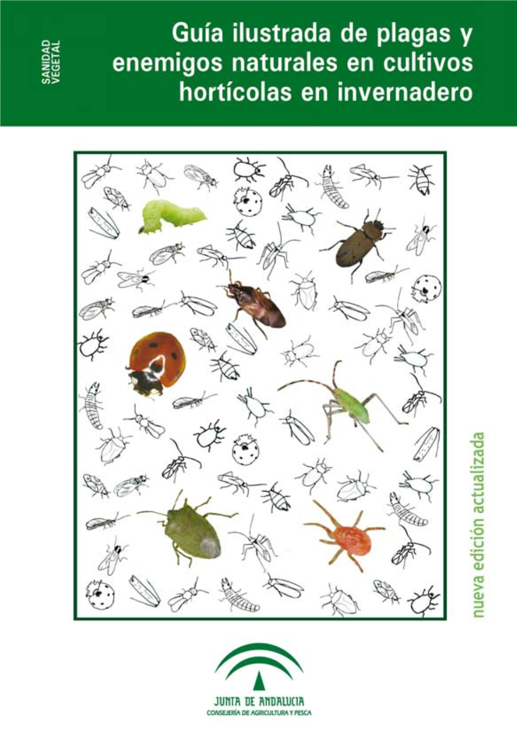 Guía Ilustrada De Plagas Y Enemigos Naturales En Cultivos Hortícolas En Invernadero
