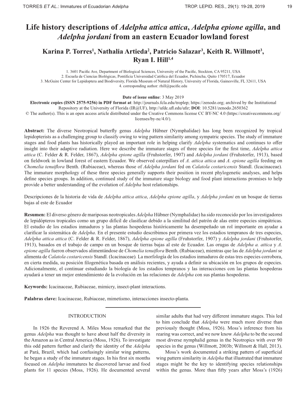 Life History Descriptions of Adelpha Attica Attica, Adelpha Epione Agilla, and Adelpha Jordani from an Eastern Ecuador Lowland Forest