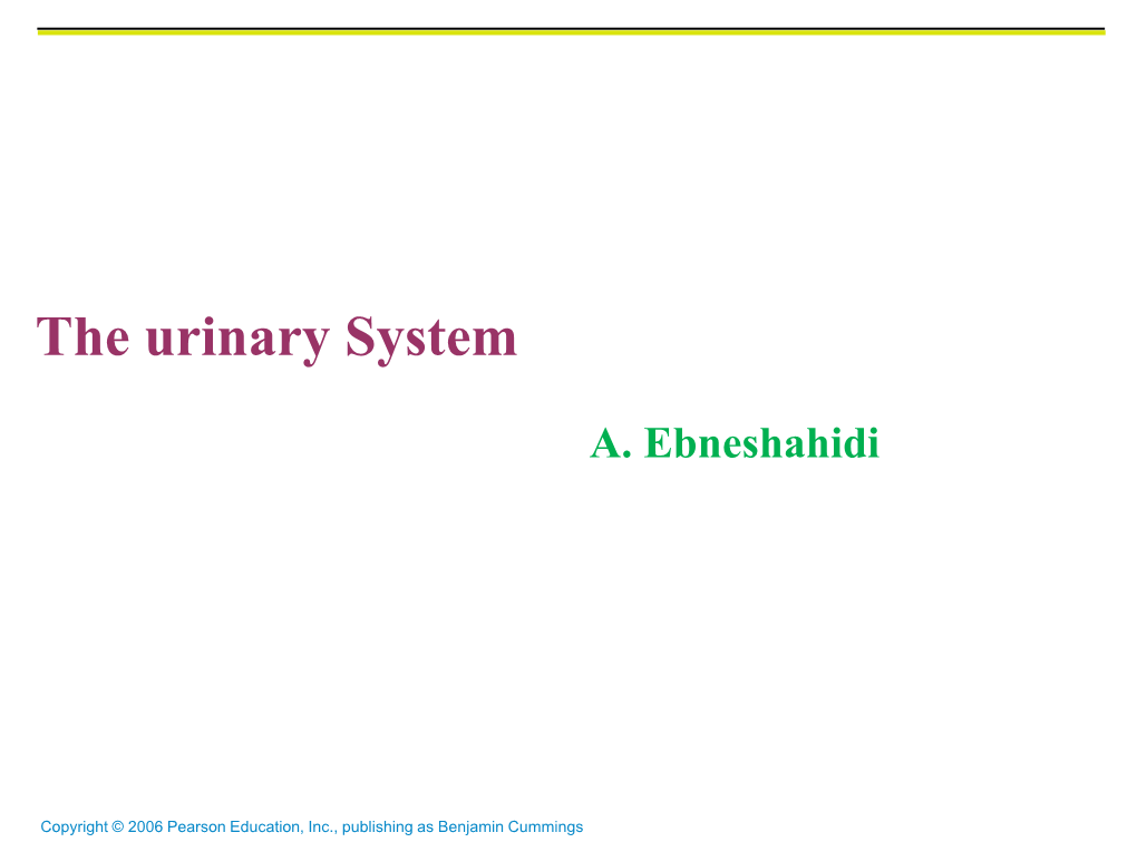 The Urinary System