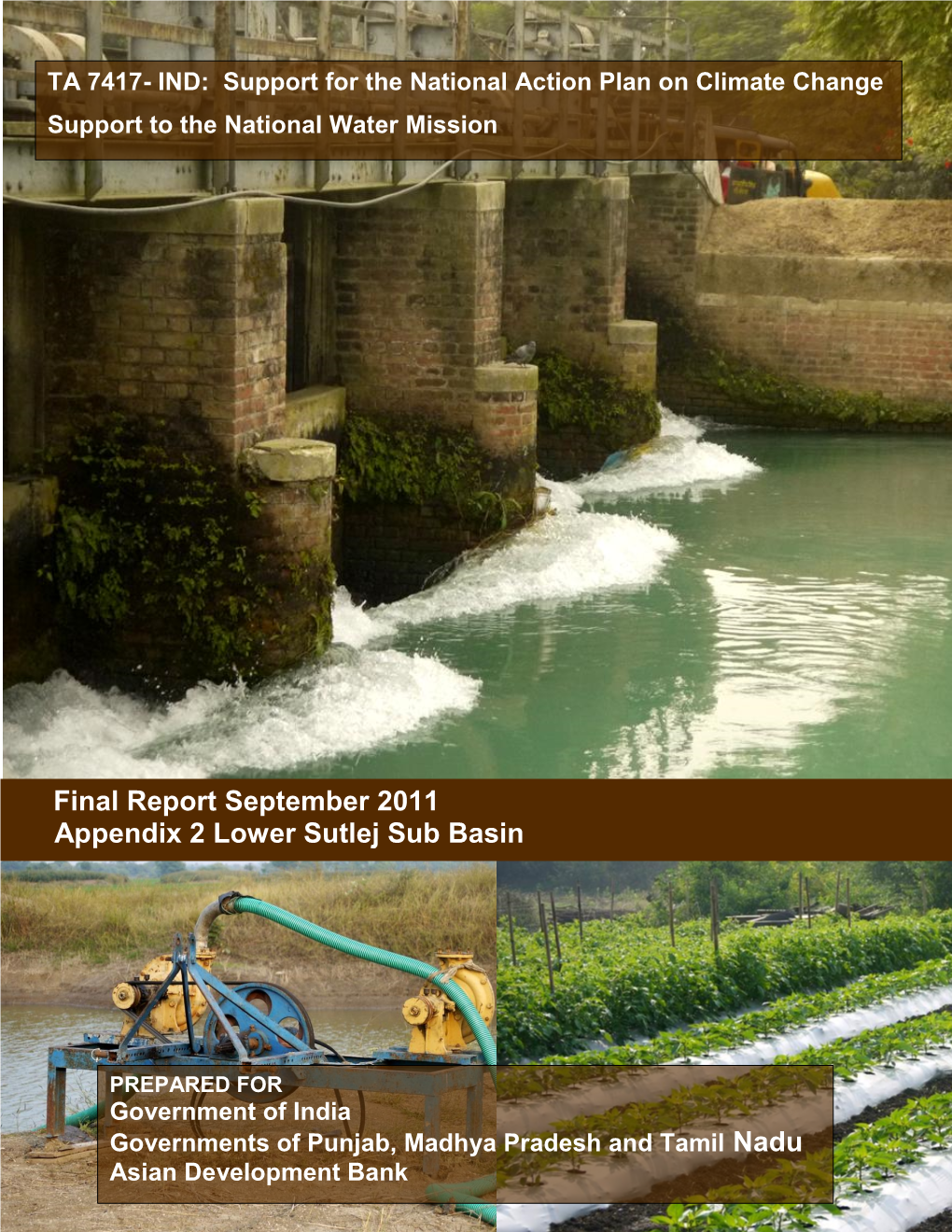 Final Report September 2011 Appendix 2 Lower Sutlej Sub Basin