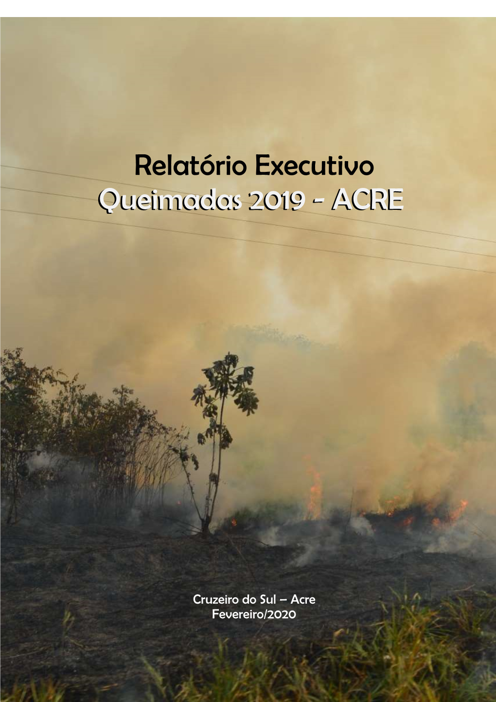 Relatório Executivo Queimadas 2019
