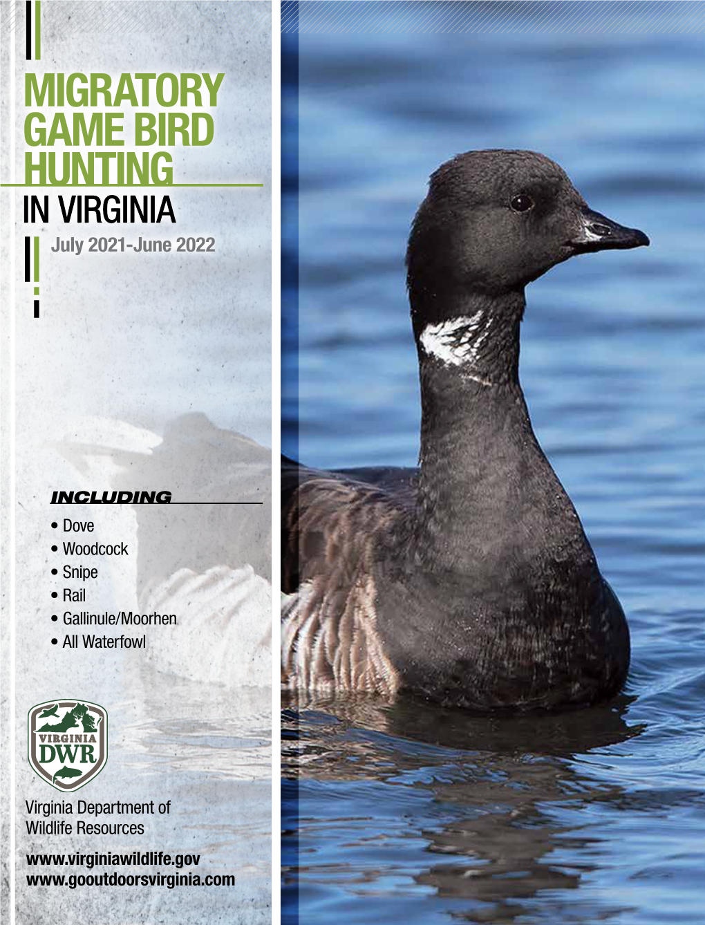 MIGRATORY GAME BIRD HUNTING in VIRGINIA July 2021-June 2022