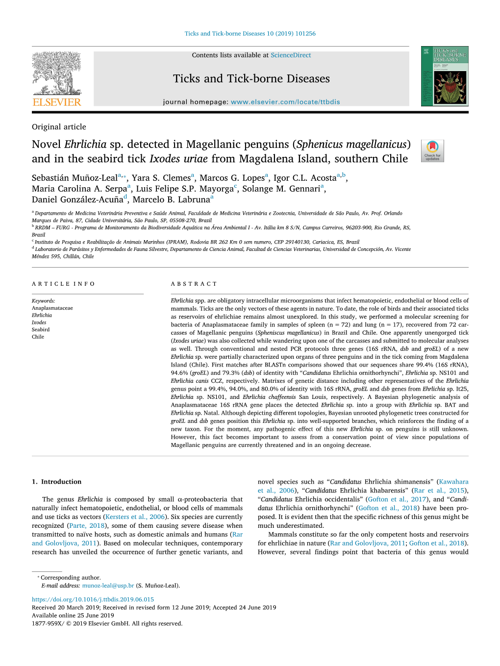 Novel Ehrlichia Sp. Detected in Magellanic Penguins (Sphenicus