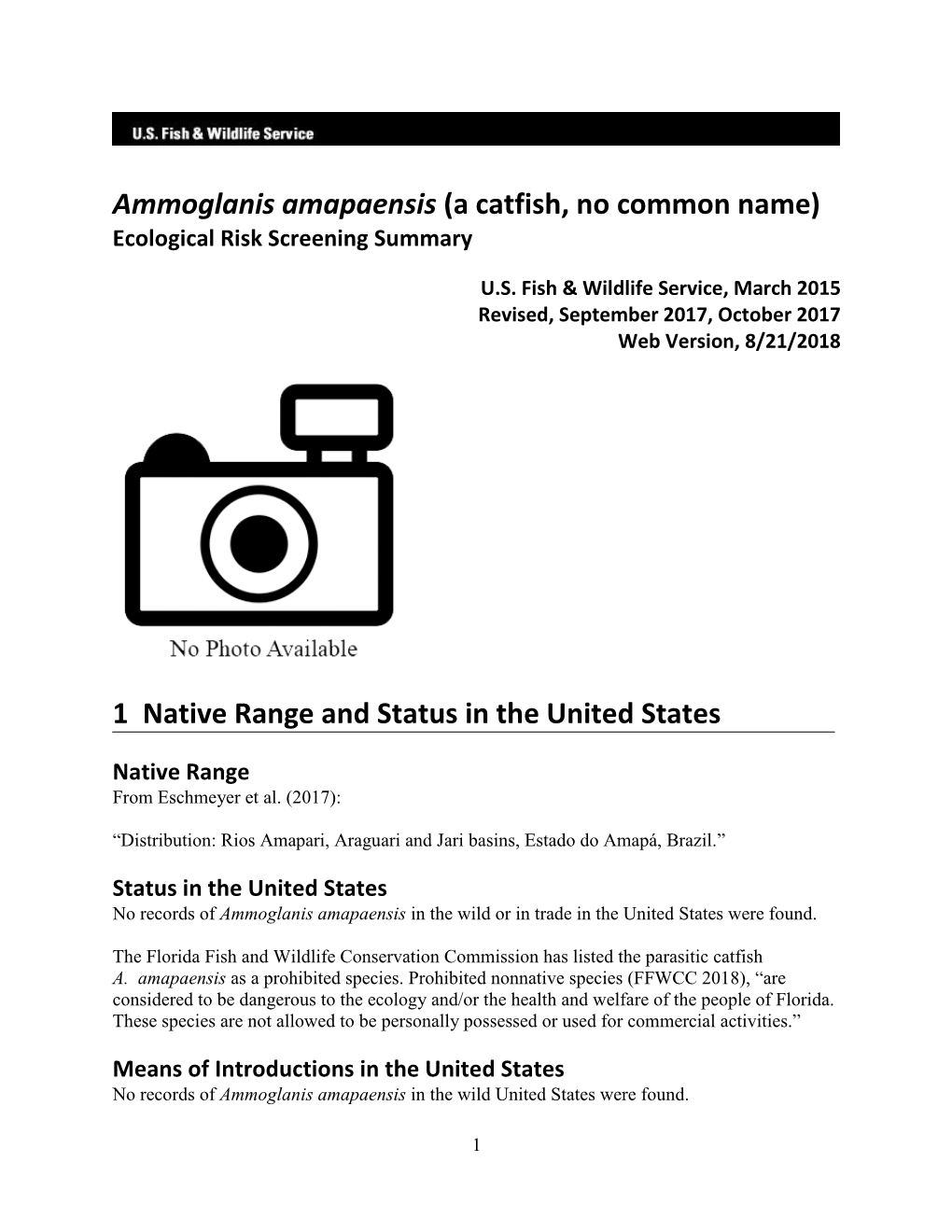 Ammoglanis Amapaensis (A Catfish, No Common Name) Ecological Risk Screening Summary