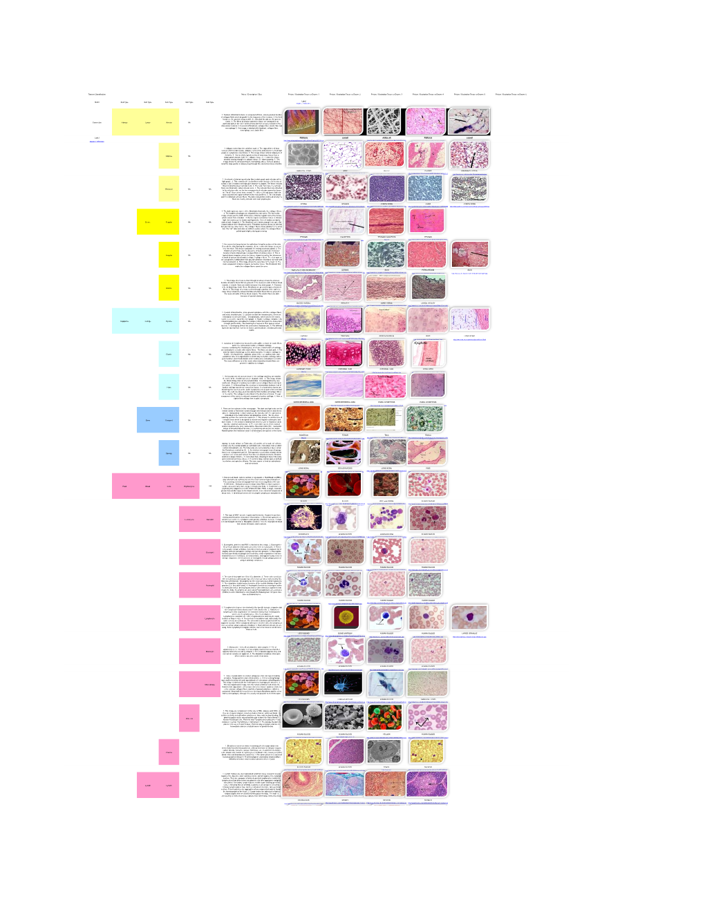 Tissues Classification