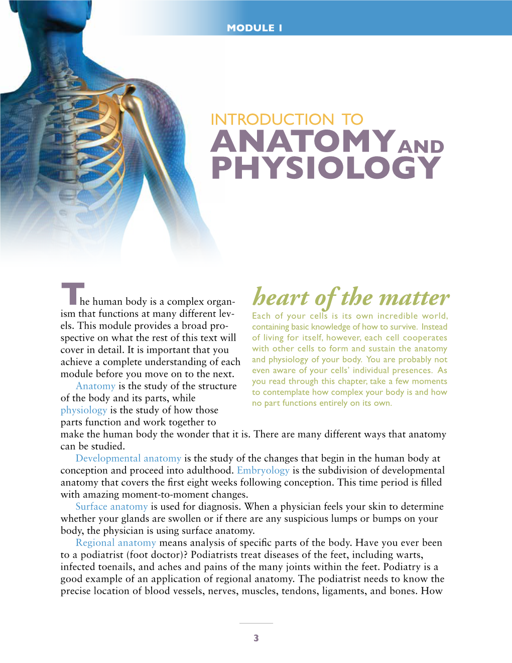 Anatomy Physiology