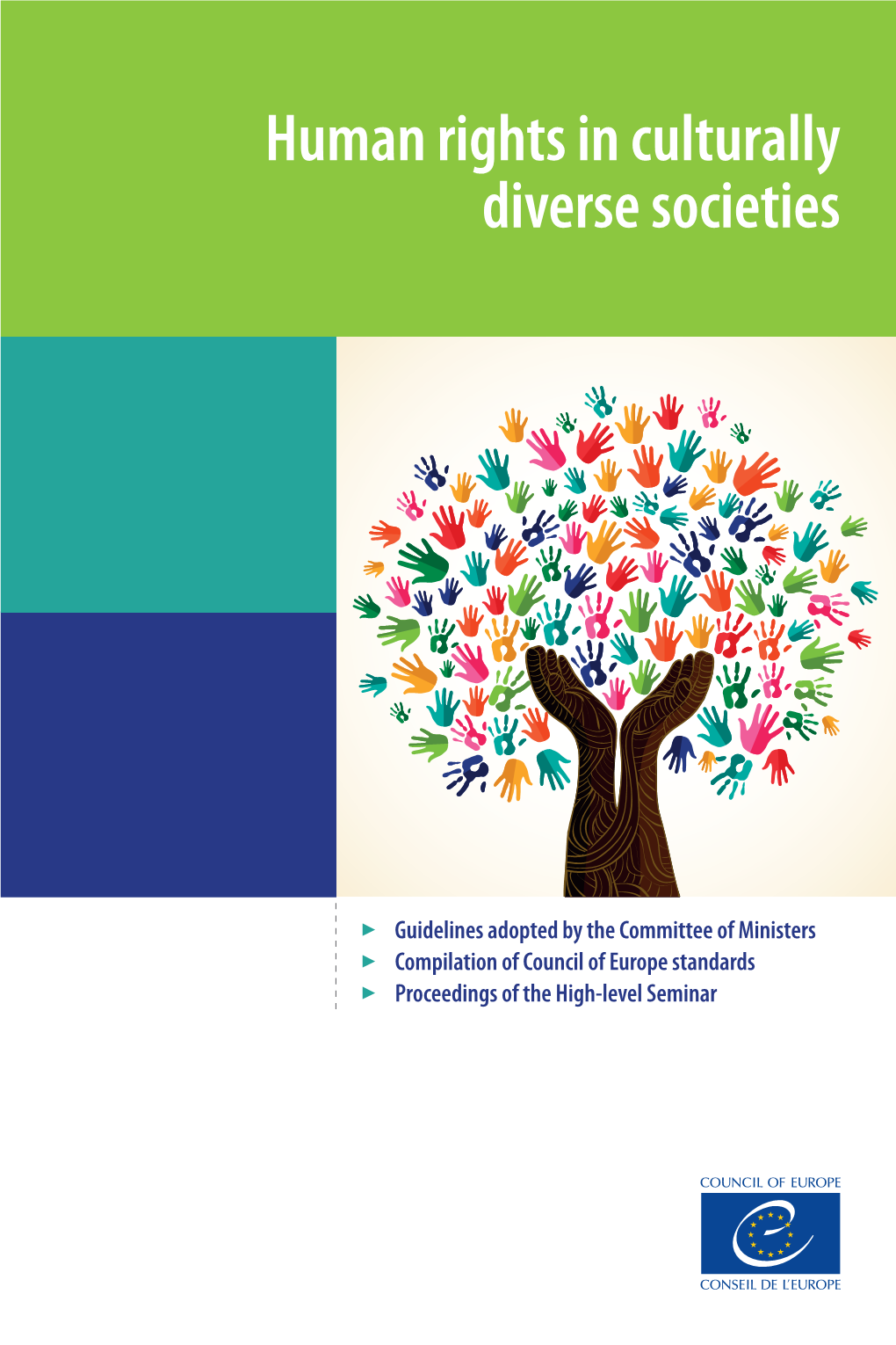 Guidelines “Human Rights in Culturally Diverse Societies