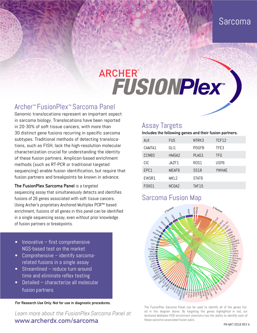 Archer™ Fusionplex™ Sarcoma Panel Genomic Translocations Represent an Important Aspect in Sarcoma Biology