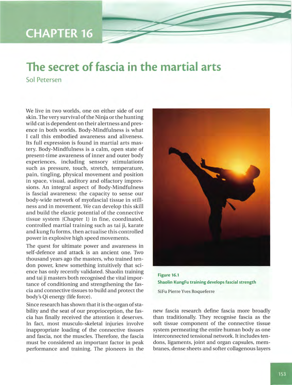 The Secret of Fascia in the Martial Arts Sol Petersen