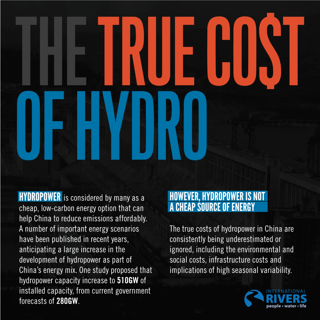 True Cost of Hydropower