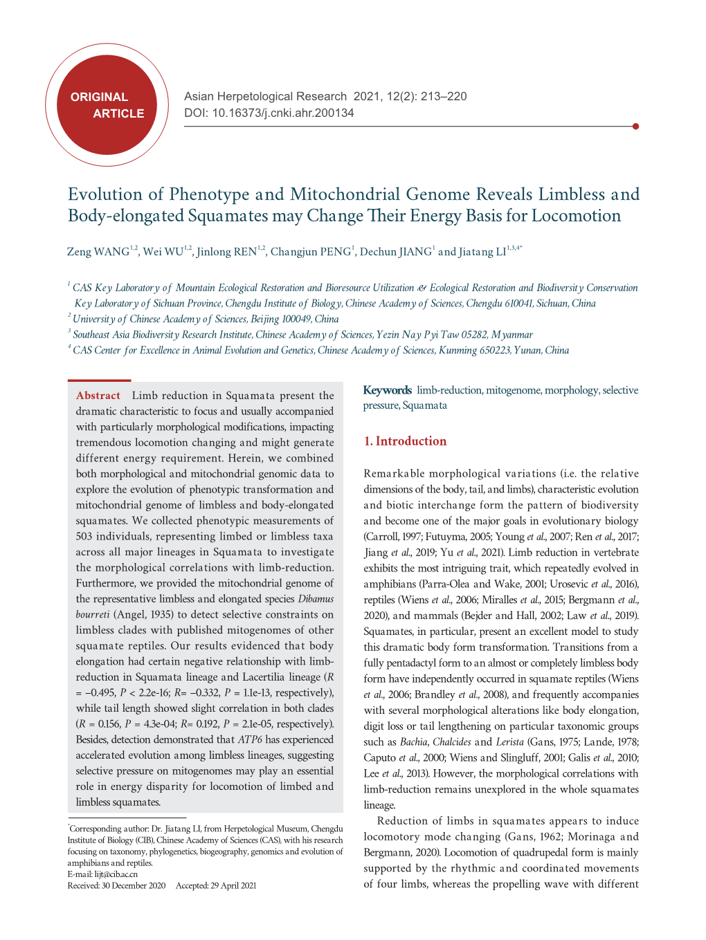 Evolution of Phenotype and Mitochondrial Genome Reveals Limbless and Body-Elongated Squamates May Change Their Energy Basis for Locomotion