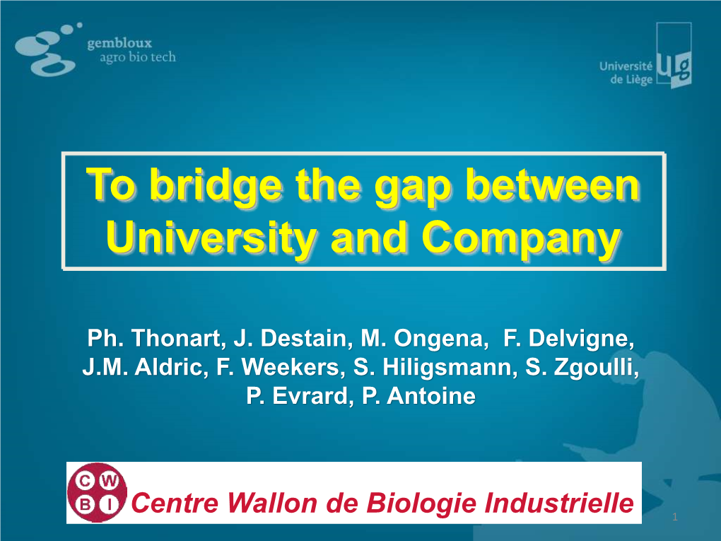 To Bridge the Gap Between University and Company