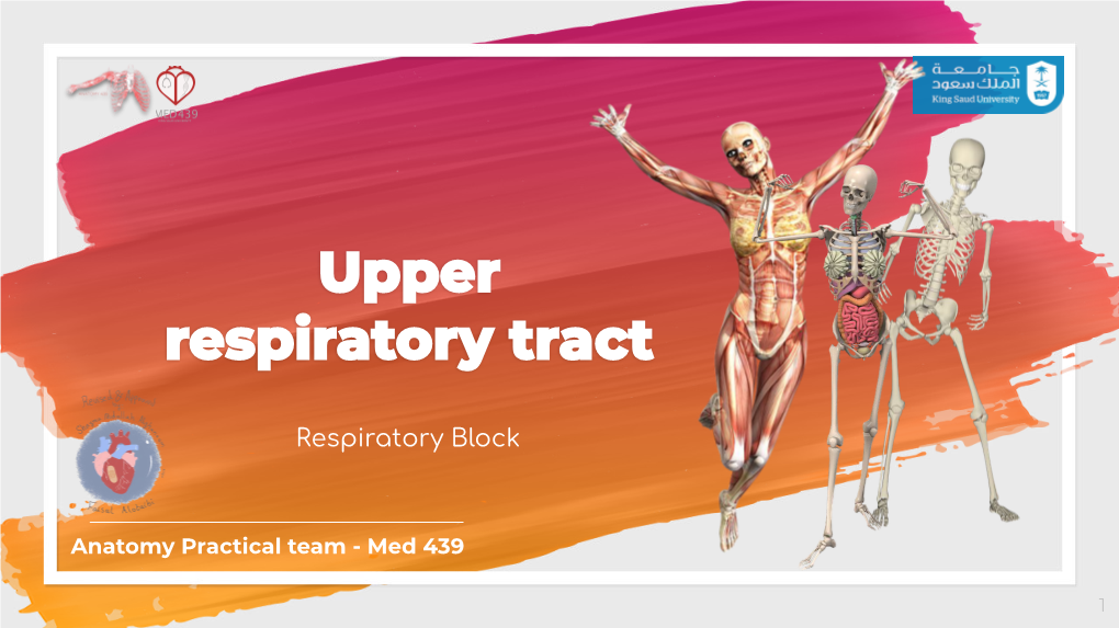 Respiratory Block