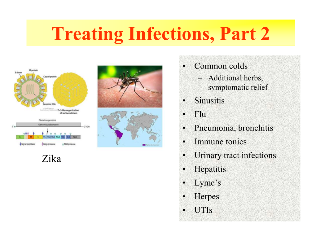 Treating Infections, Part 2