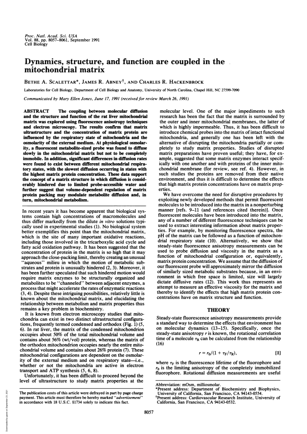 Dynamics, Structure, and Function Are Coupled in the Mitochondrial Matrix