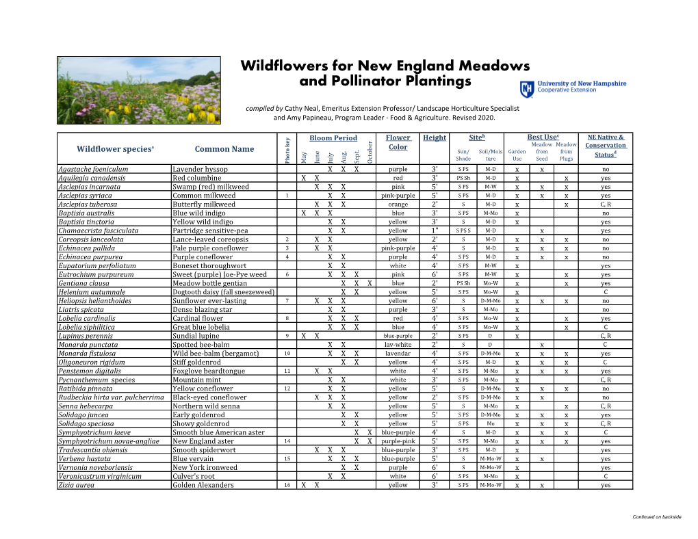 Wildflowers for New England Meadows and Pollinator Plantings