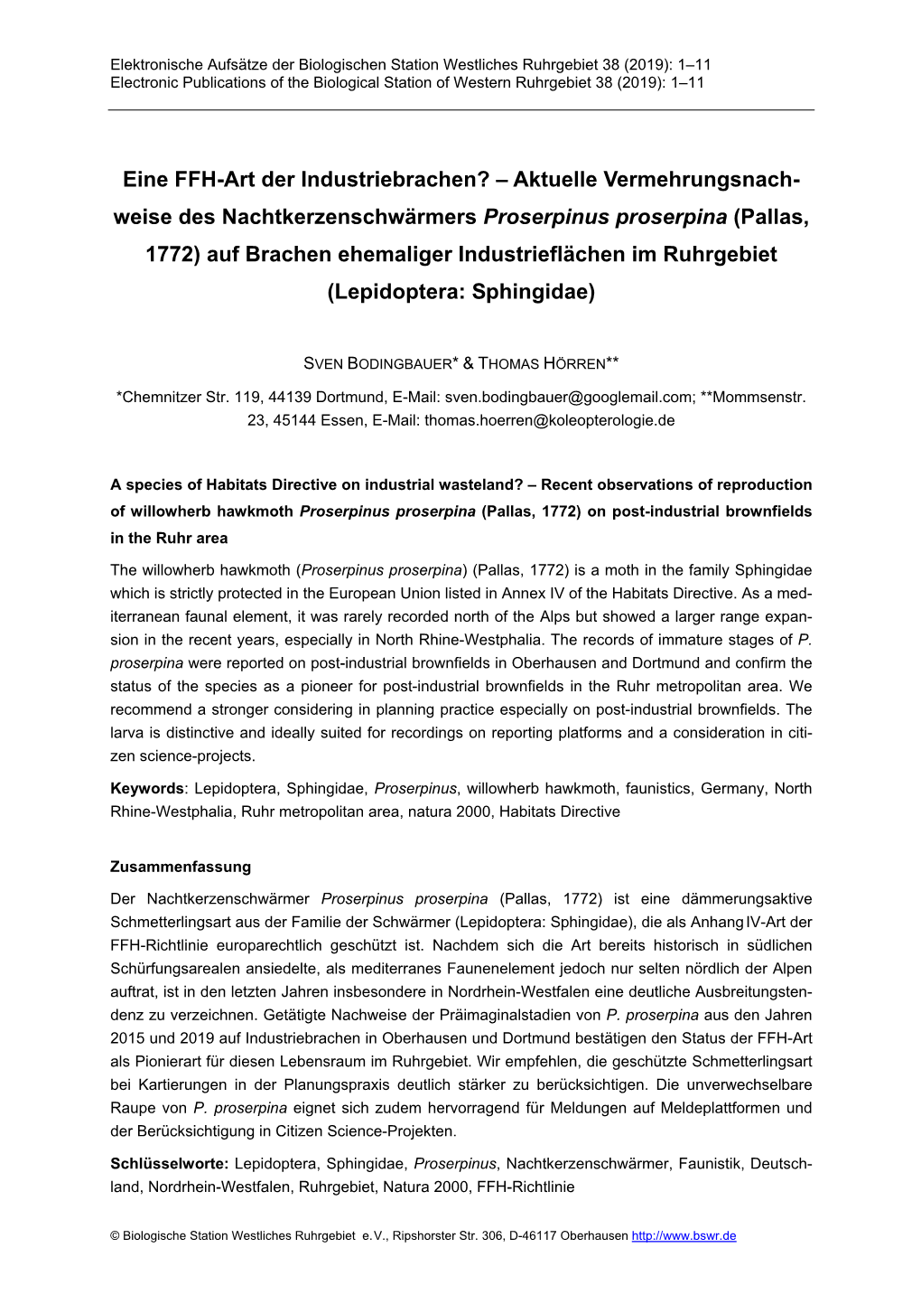Weise Des Nachtkerzenschwärmers Proserpinus Proserpina (Pallas, 1772) Auf Brachen Ehemaliger Industrieflächen Im Ruhrgebiet (Lepidoptera: Sphingidae)