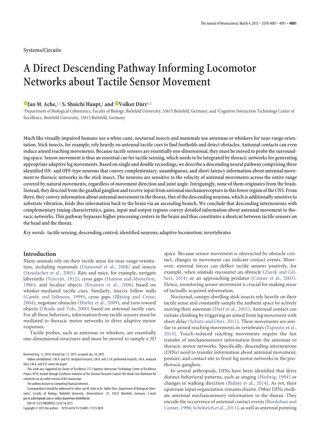 A Direct Descending Pathway Informing Locomotor Networks About Tactile Sensor Movement